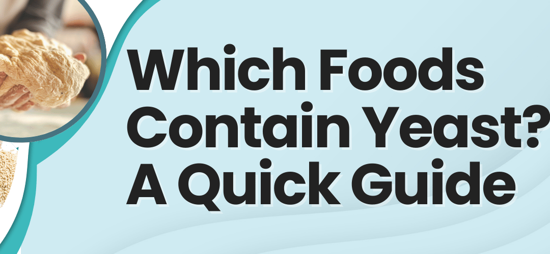 Which Foods Contain Yeast? A Quick Guide